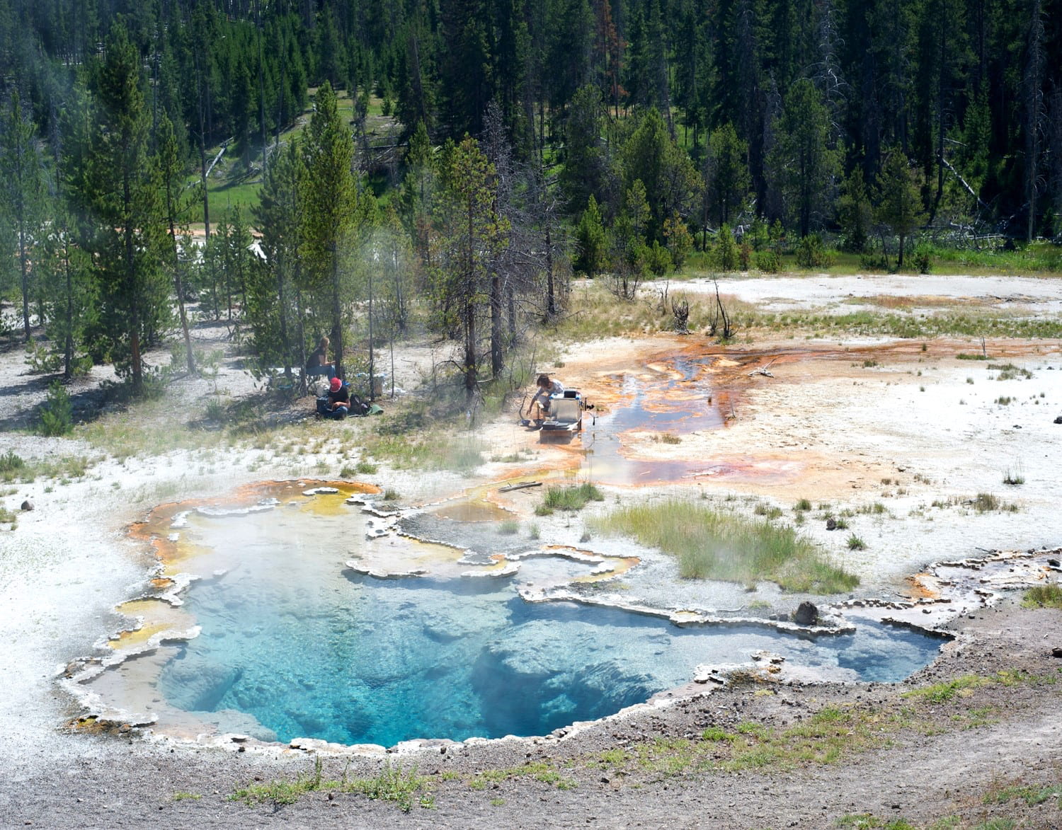 Rice Computer Science research includes microbial mat samples from Yellowstone spring