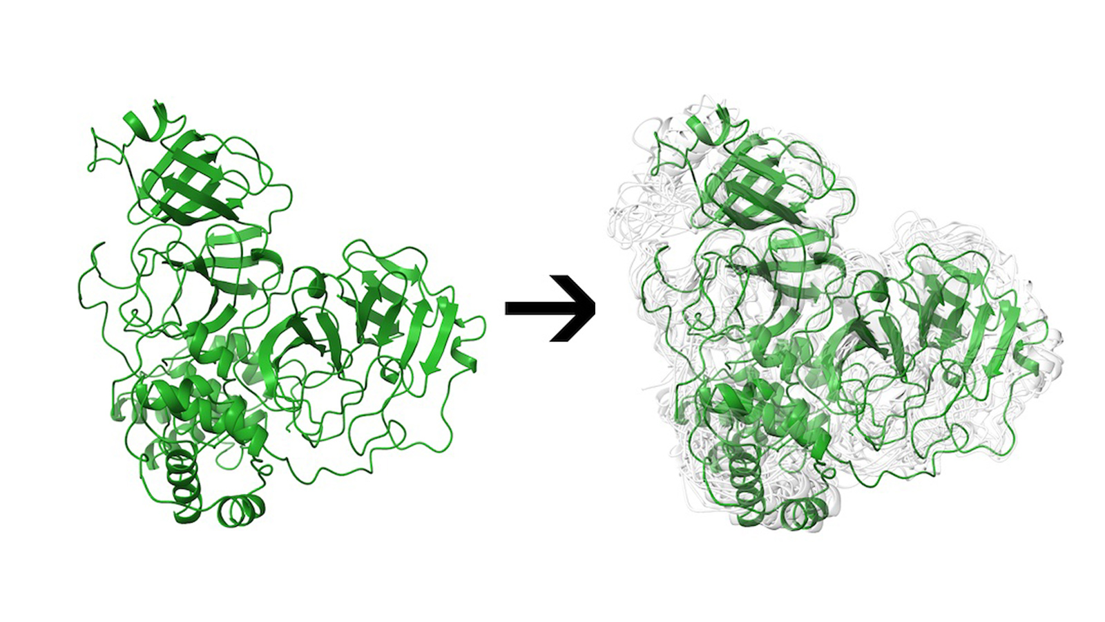 Kavraki Lab speeds process of identifying potential pandemic treatments