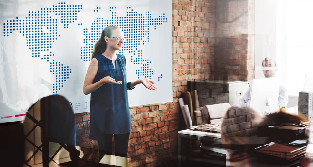 What Data Scientists Do