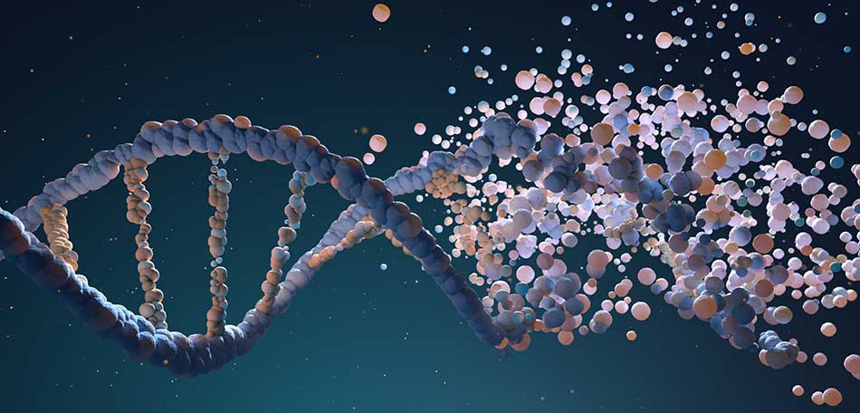 DNA strand being decoded through bioinformatics, where data science meets biology