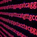 RAMBO speeds searches on huge DNA databases