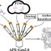 Modeling tool APE-Gen2.0 expands peptide-MHC modeling repertoire to aid in targeted therapy development